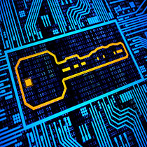 What's the Difference Between a Coding Bootcamp and an Information Technology Degree?