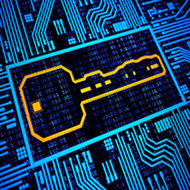 What's the Difference Between a Coding Bootcamp and an Information Technology Degree?