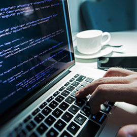 IT Major: Guide to Degrees, Jobs & Careers