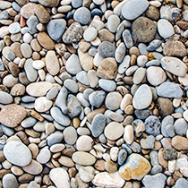 The Parable of Time Management