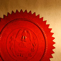 Certificate vs. Degree Programs: Which is Right for You?