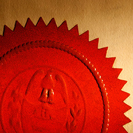 Certificate vs. Degree Programs: Which is Right for You?